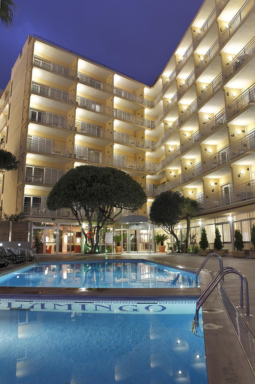 Gran Flamingo-adults Only Older 18 Years Old Lloret de Mar